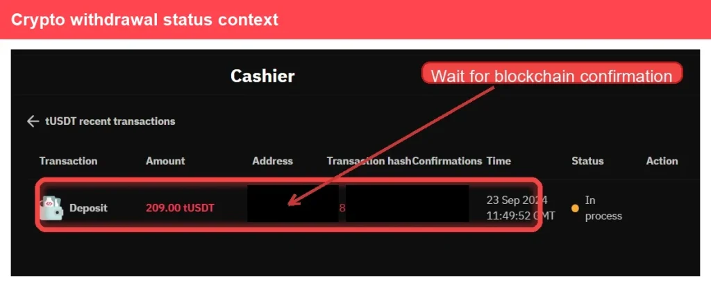 A crypto withdrawal page shows a 209.00 tUSDT deposit pending with 8 confirmations. A red arrow points to “Wait for blockchain confirmation.” Status is “In process.”.