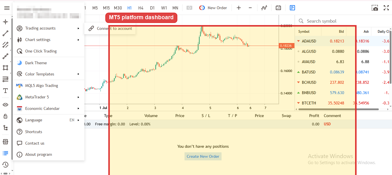 MetaTrader 5 platform dashboard after successful login